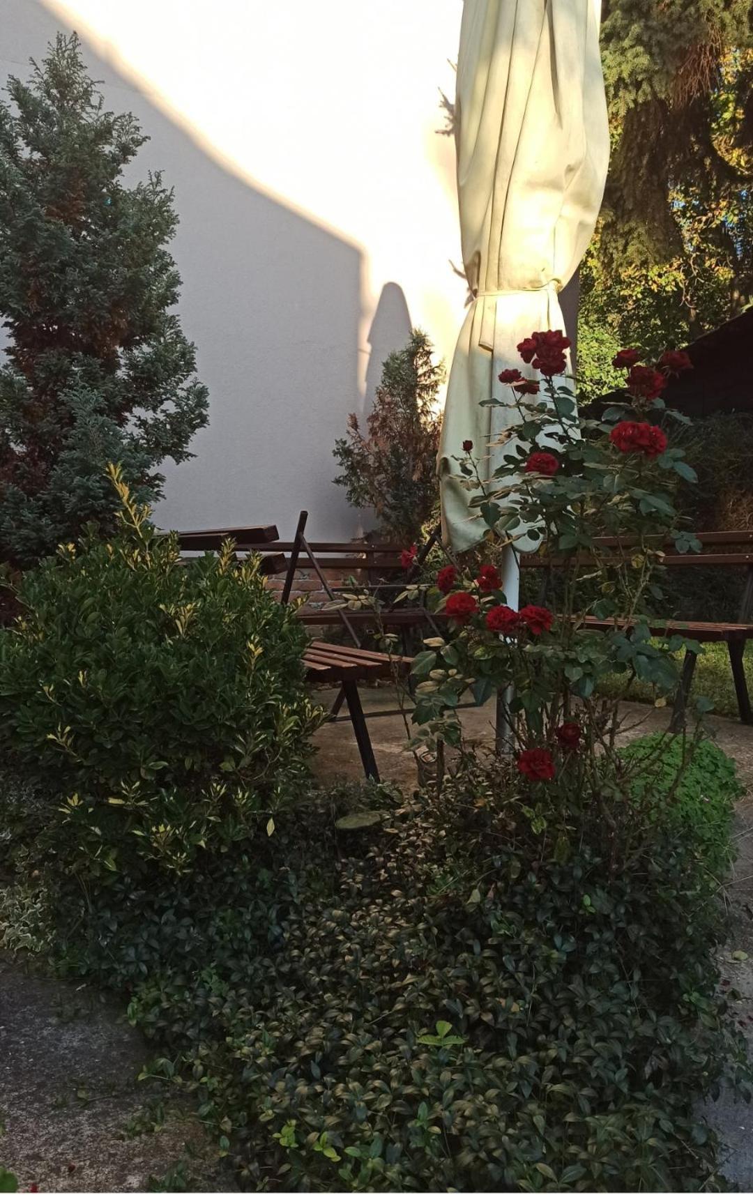 Apartman Oaza Olja Belgrade Exterior photo